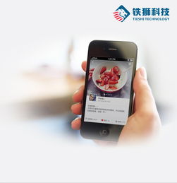 成都APP外包公司如何實現(xiàn)從開發(fā)到運營的全流程管理