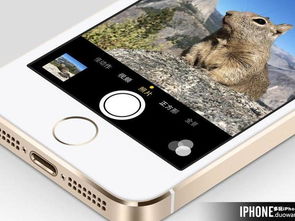 成都旅游類APP開發 深度解析核心用戶需求與功能導向